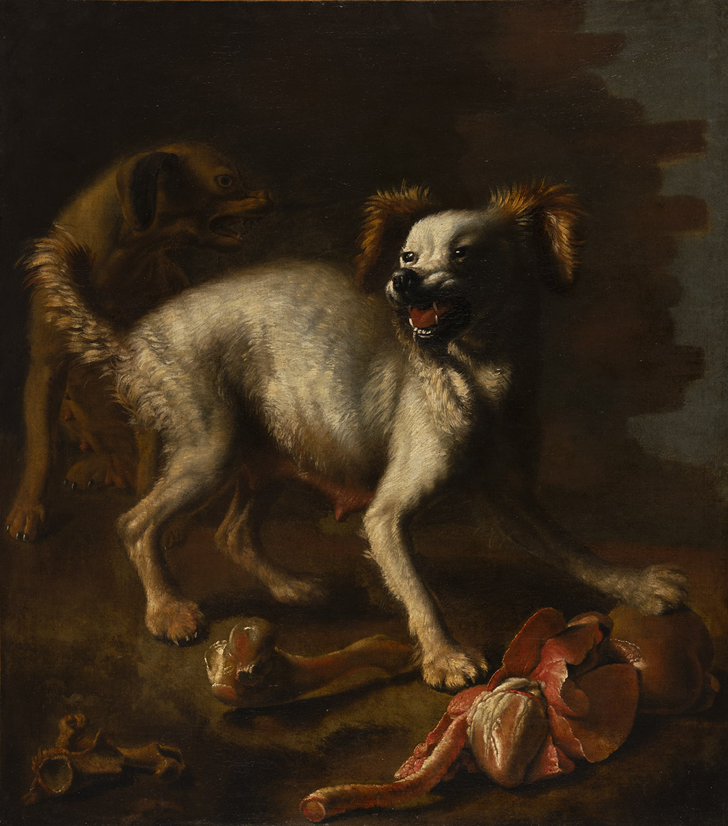 Chienne défendant des abats